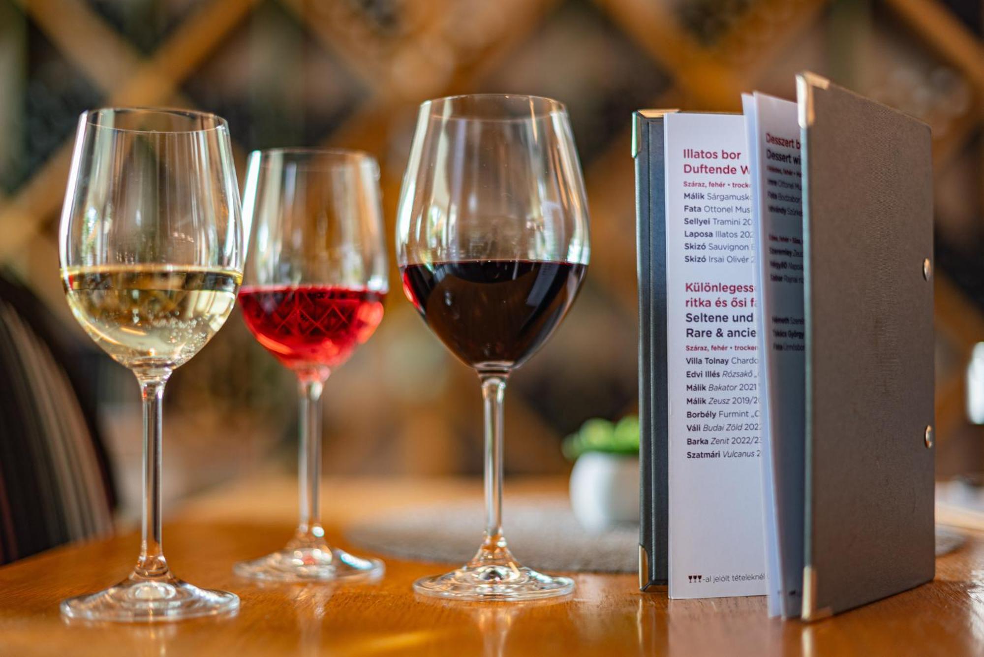 Hotel Bonvino Badacsony 바다초니토마이 외부 사진